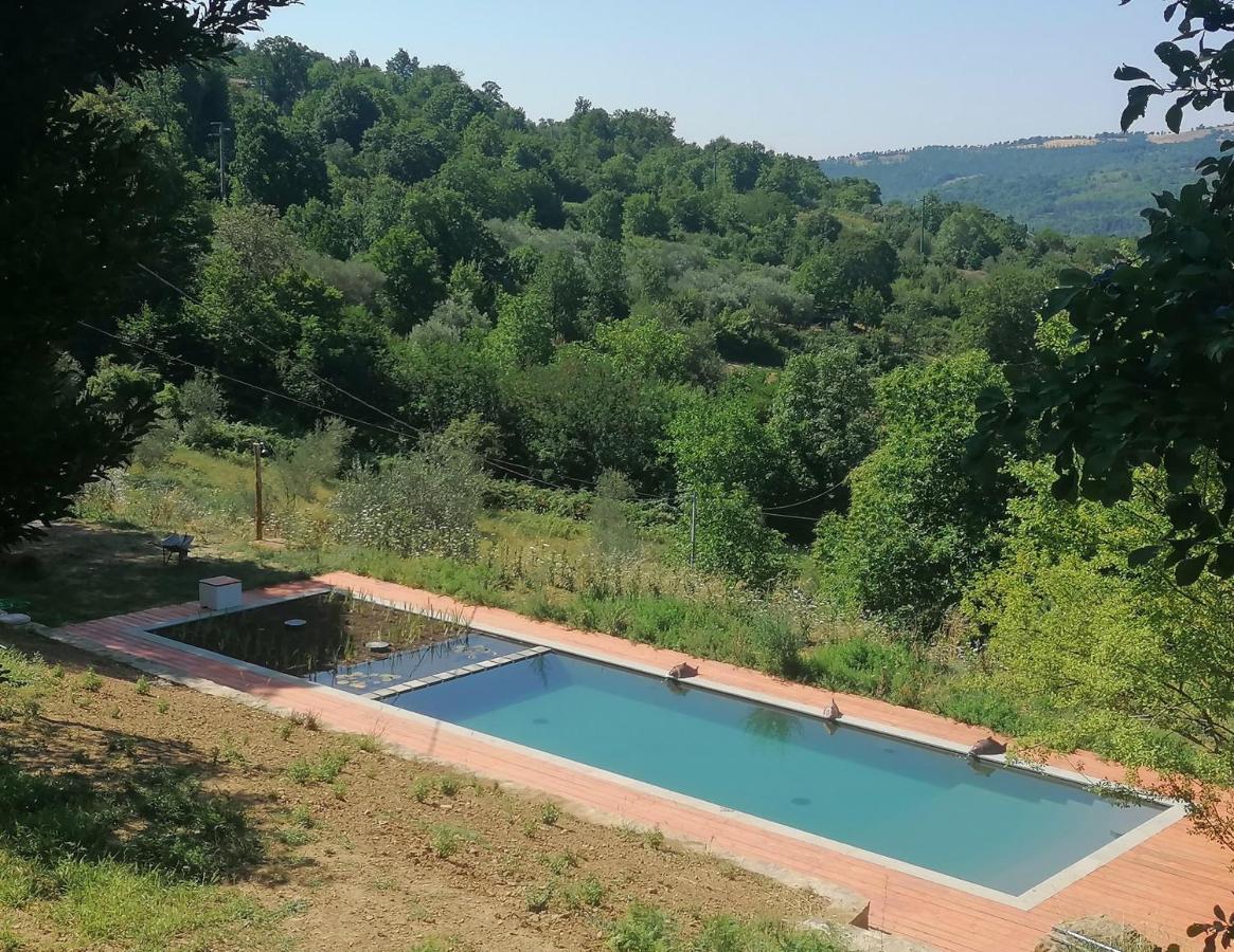 Podere di Maggio - Glamping tent 2 Santa Fiora Esterno foto